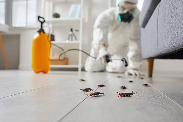 Commercial Kitchen Cockroach Control in Green Springs
